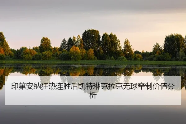 yin-di-an-na-kuang-re-lian-sheng-hou-kai-te-lin-ke-la-ke-wu-qiu-qian-zhi-jia-zhi-fen-xi-2-371.jpg