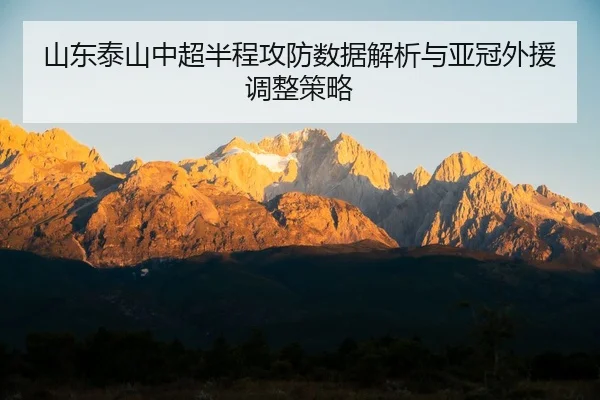 shan-dong-tai-shan-zhong-chao-ban-cheng-gong-fang-shu-ju-jie-xi-yu-ya-guan-wai-yuan-tiao-zheng-ce-lve-2-232.jpg