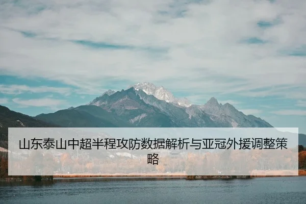shan-dong-tai-shan-zhong-chao-ban-cheng-gong-fang-shu-ju-jie-xi-yu-ya-guan-wai-yuan-tiao-zheng-ce-lve-3-520.jpg