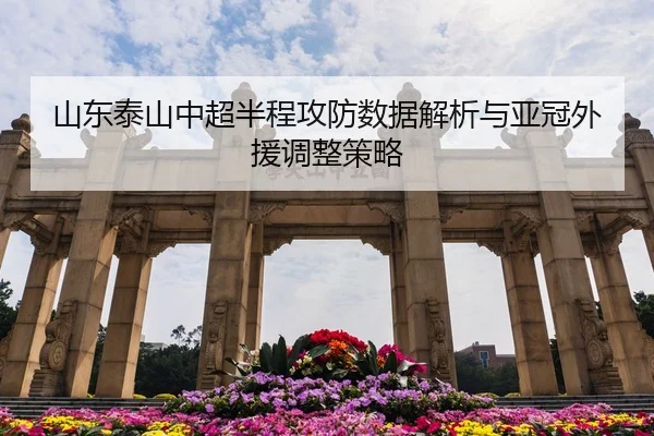 山东泰山中超半程攻防数据解析与亚冠外援调整策略